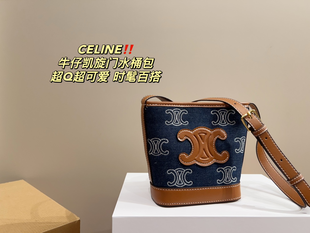 CELINE bag 16